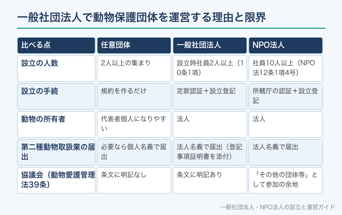 一般社団法人で動物保護団体を運営する理由と限界